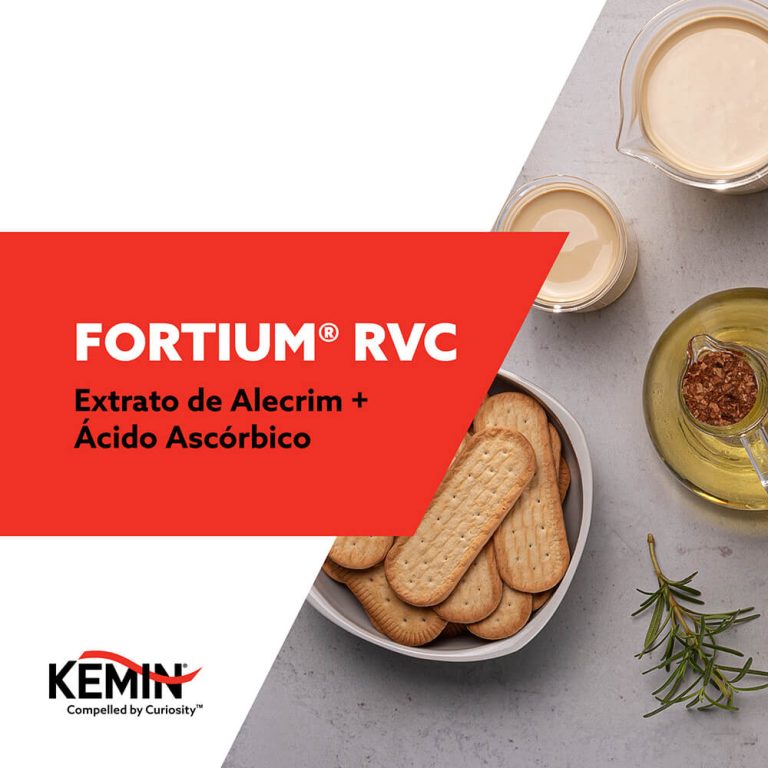 KFT_190 - Amostras Virtuais - NIS-03 - Maitê Oliveira