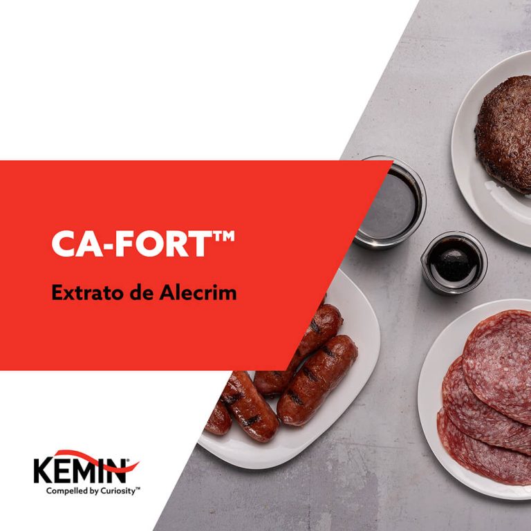 KFT_190 - Amostras Virtuais - NIS-05 - Maitê Oliveira