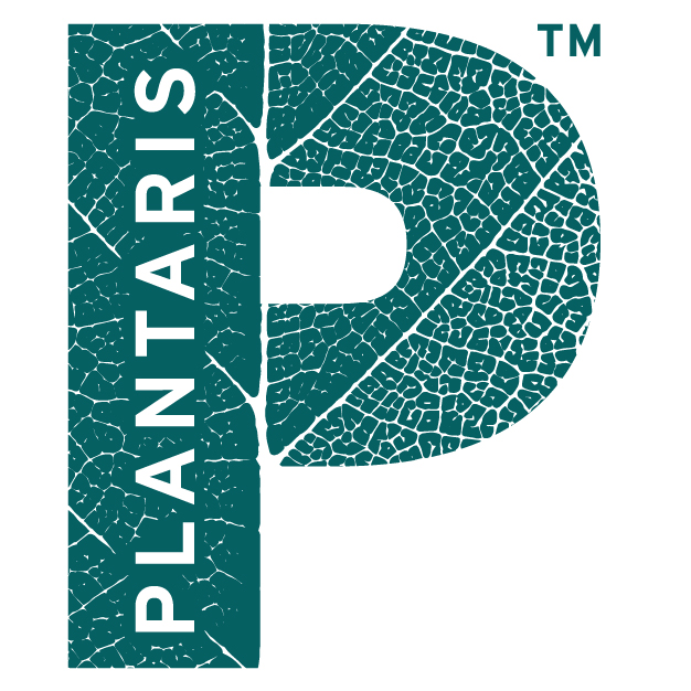 FCI_M+M_Plantaris - Alexandra Nicolau