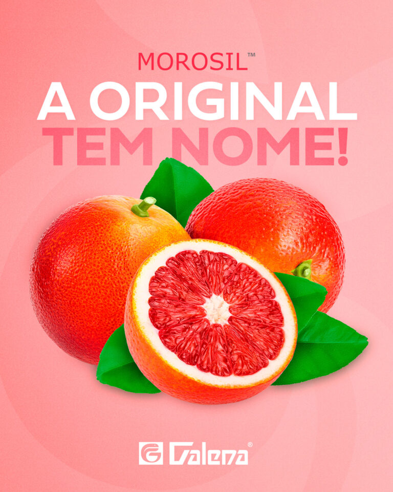 _28.05.2025 - morosil