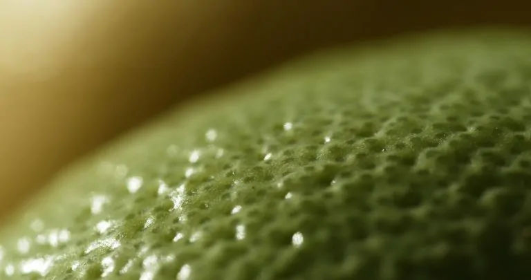 bergamotto_frutto_06