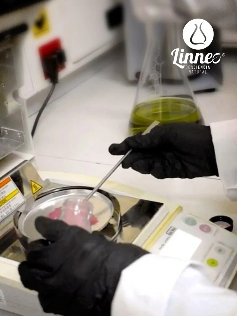 LINNEO_MATERIAL_ANALISIS