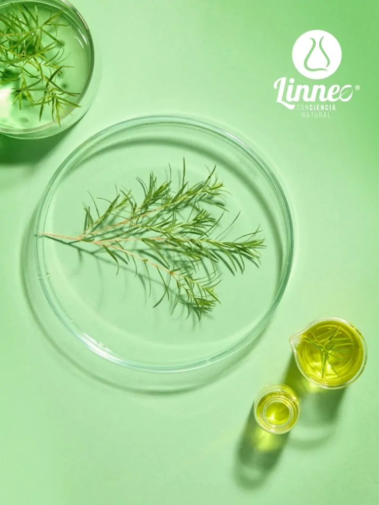 LINNEO_MATERIAL_LABORATORIO